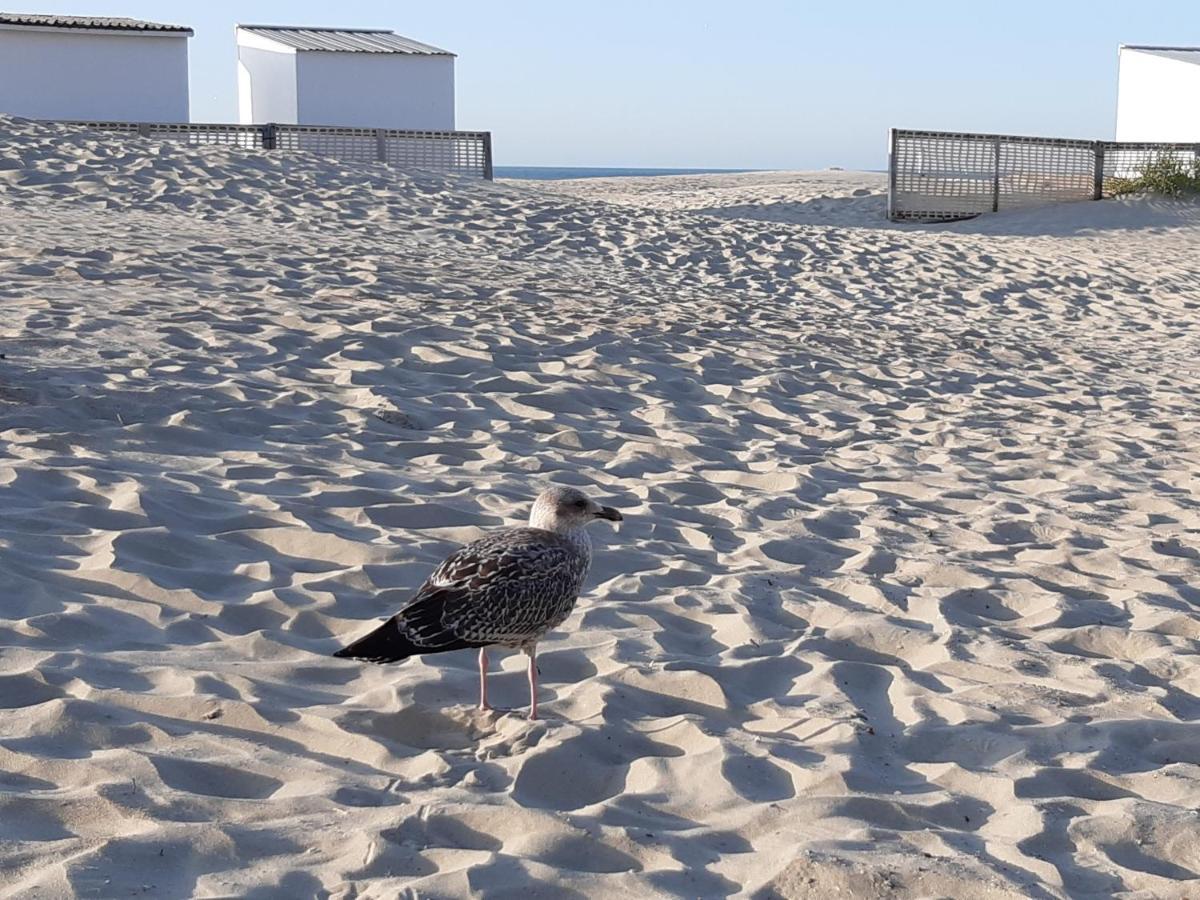Nieuwpoort Marjolaine Prachtig Zeezicht - 4De Verdiep -Op De Dijk 5Pers Zewnętrze zdjęcie